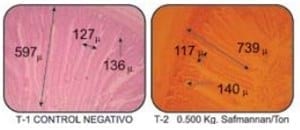 Efectos de Safmannan en el comportamiento productivo y la conformación anatomo-histológica de las vísceras digestivas del pollo de engorda. Parte II - Image 2