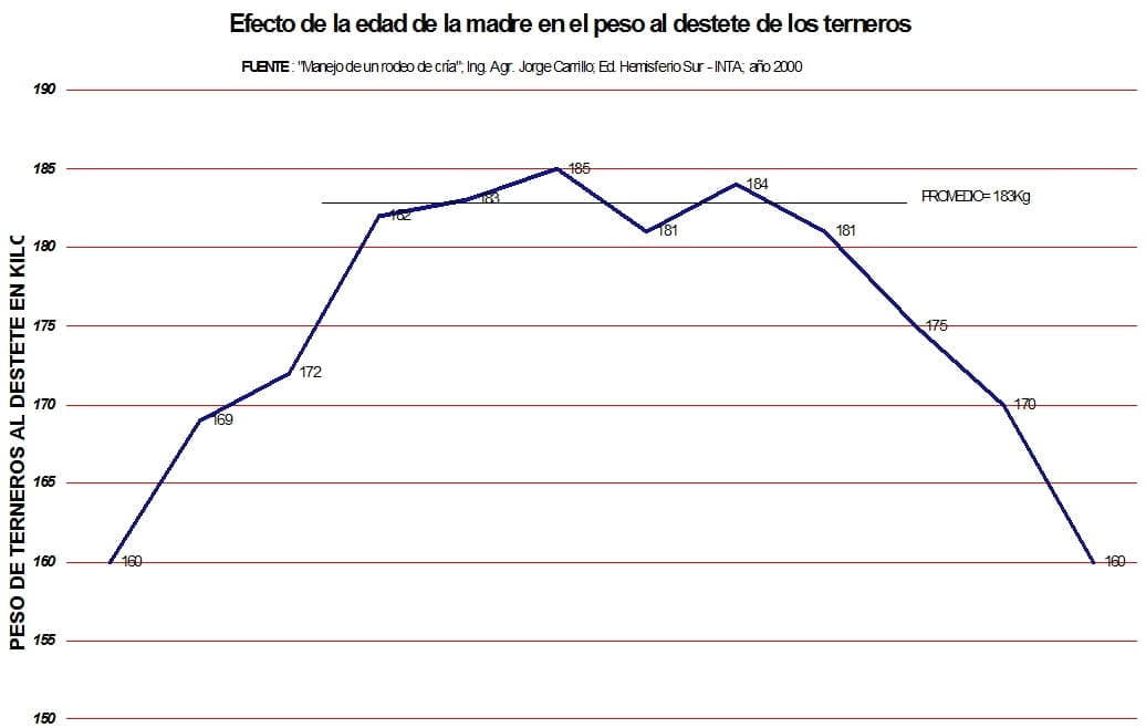 Consideraciones generales referidas a la tecnica de protesis dentales en bovinos - Image 2