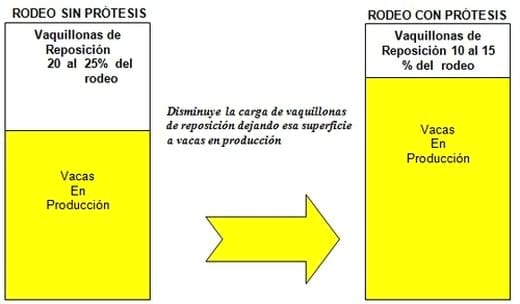 Consideraciones generales referidas a la tecnica de protesis dentales en bovinos - Image 1