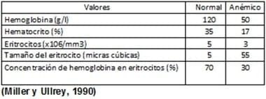 ¿Se debe usar o no hierro en lechones criados en tierras? - Image 1