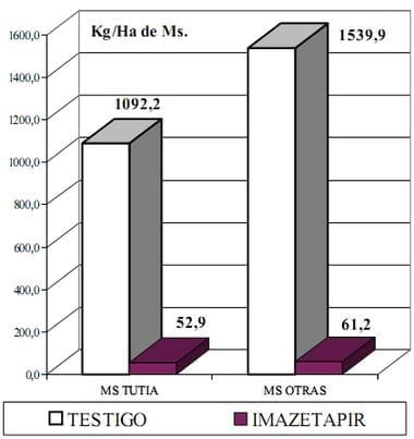 Potenciales de Reinfestación de Solanum Sisymbrifolium en el cultivo de Soja - Image 22