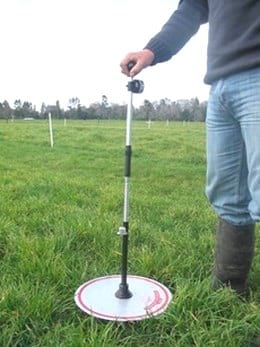 Manejo de Pastoreo en Sistemas de Producción de Carne Bovina - Image 2