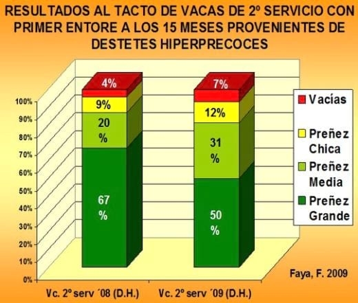 El destete precoz de la vaquillona de reposición - Image 2