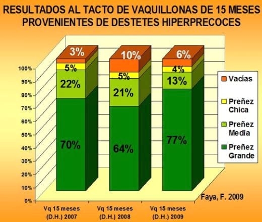 El destete precoz de la vaquillona de reposición - Image 1