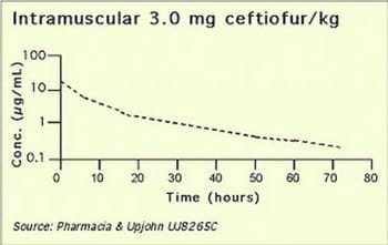 Programa Antibiotico en Lechones (EXCENEL™) - Image 3