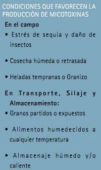 Entendiendo las Micotoxinas - Image 1