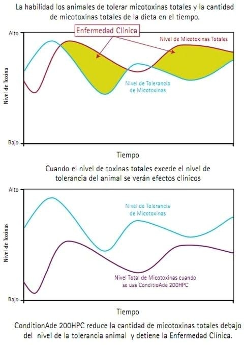 Entendiendo las Micotoxinas - Image 5