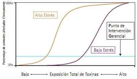 Entendiendo las Micotoxinas - Image 3