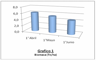 Garbanzo: un cultivo invernal que promete - Image 2