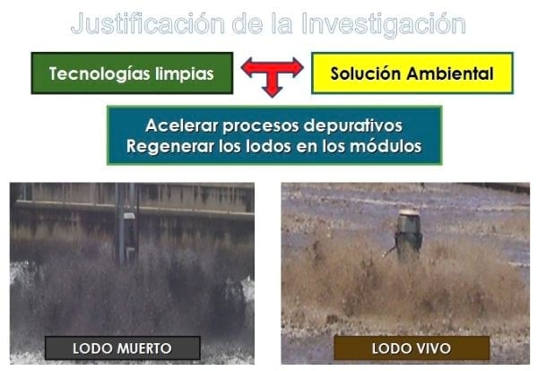 Evaluación de la aplicación de oxynova para mejorar el desempeño de la Planta de Tratamiento de aguas residuales La Mariposa - Image 4