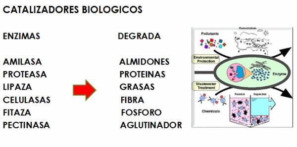 Evaluación de la aplicación de oxynova para mejorar el desempeño de la Planta de Tratamiento de aguas residuales La Mariposa - Image 2