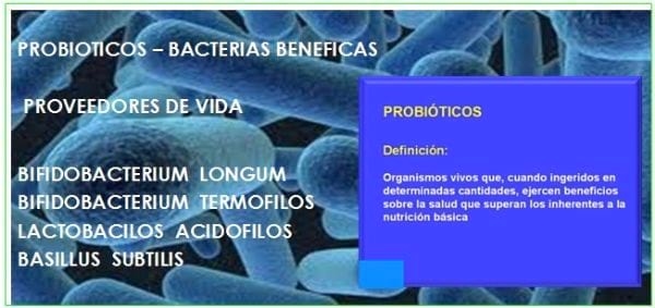 Evaluación de la aplicación de oxynova para mejorar el desempeño de la Planta de Tratamiento de aguas residuales La Mariposa - Image 1