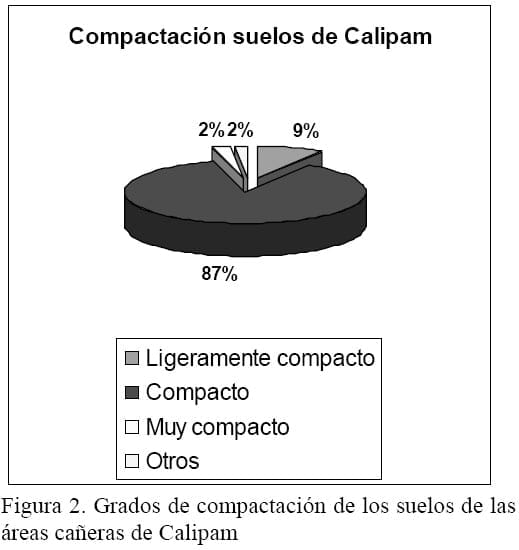 Influencia de factores antrópicos en suelos cañeros del Estado de Puebla - Image 2