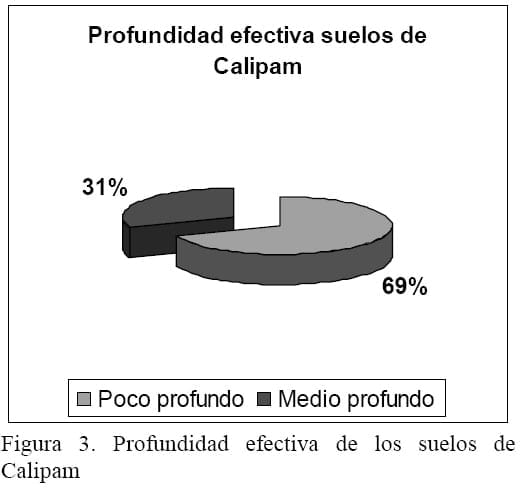 Influencia de factores antrópicos en suelos cañeros del Estado de Puebla - Image 3