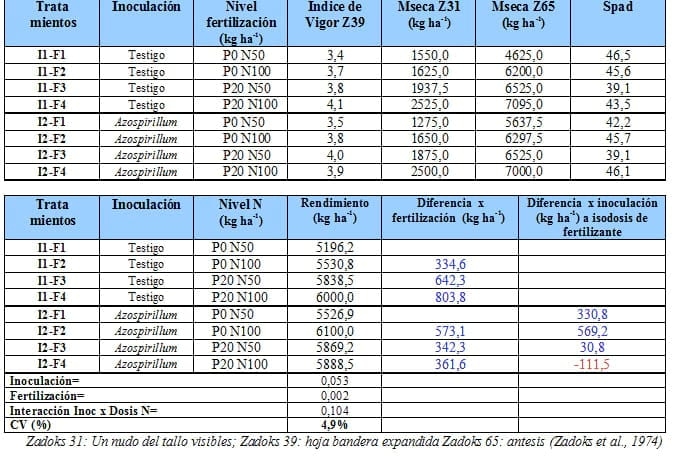 Azospirillum brasilense en cebada cervecera bajo diferentes niveles de fertilización fosforo-nitrogenada - Image 7