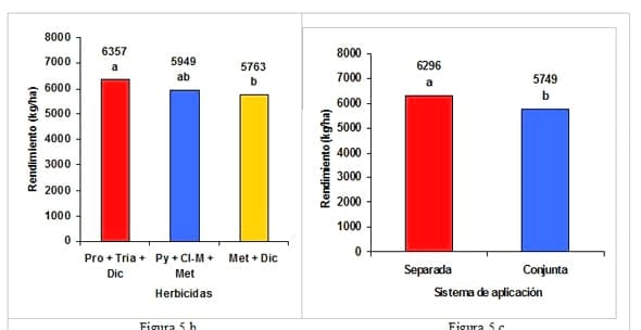 Evaluación de un fertilizante líquido nitrógeno-azufrado como transportador de herbicidas postemergentes en trigo. Eficiencia de control, fitotoxicidad y rendimiento - Image 6