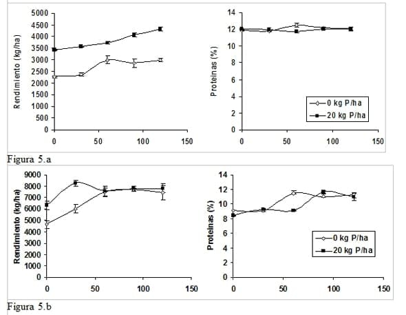 Fertilización en cebada cervecera, Herramientas de manejo para balancear el Rendimiento y la calidad en una secuencia de doble cultivo - Image 6