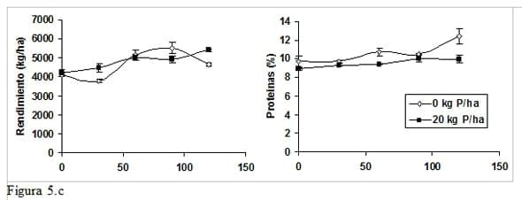Fertilización en cebada cervecera, Herramientas de manejo para balancear el Rendimiento y la calidad en una secuencia de doble cultivo - Image 7
