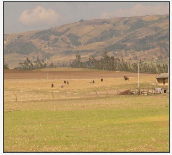 Evidencias de cambio climático en zonas suburbanas y rurales de Tunja - Image 11