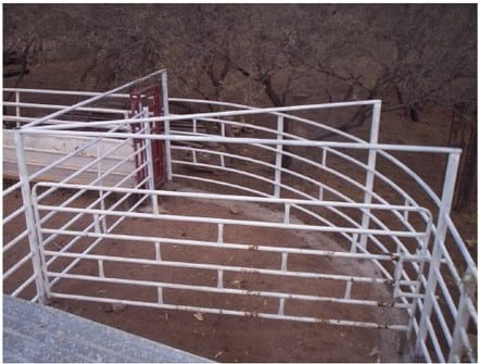 Corrales de Manejo III - Image 2