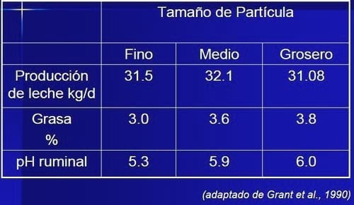 Acidosis en rodeos lecheros - Image 6