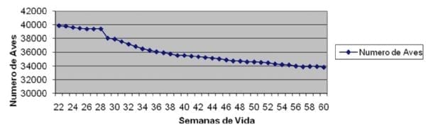 Nuevos casos de enfermedad de Marek en Argentina. Estudios preliminares - Image 1