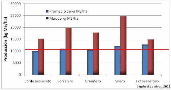 Reservas Forrajeras en el NEA. Uso en sistemas ganaderos - Image 1