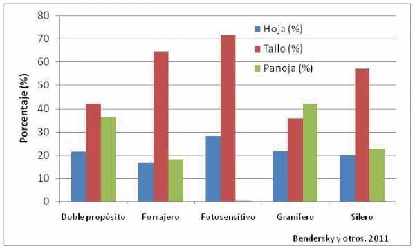 Reservas Forrajeras en el NEA. Uso en sistemas ganaderos - Image 2