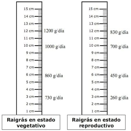 Nos va a alcanzar el pasto que tenemos? - Image 5