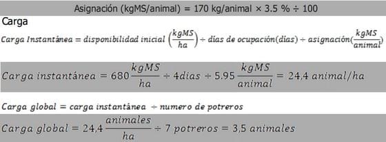 Nos va a alcanzar el pasto que tenemos? - Image 3