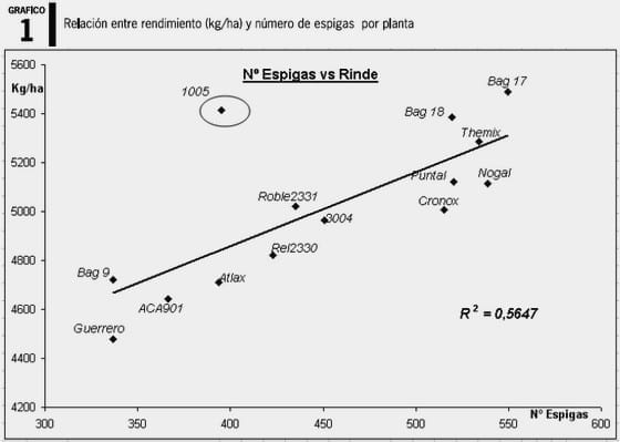 Determinación de rendimiento de trigo y sus componentes - Image 1