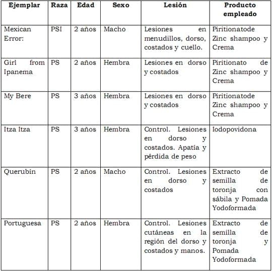 Tratamientos de lesiones en la piel de los equinos - Image 1