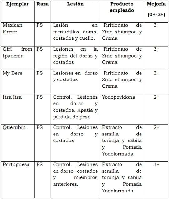 Tratamientos de lesiones en la piel de los equinos - Image 2