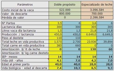 Amortización de las vacas - Image 1