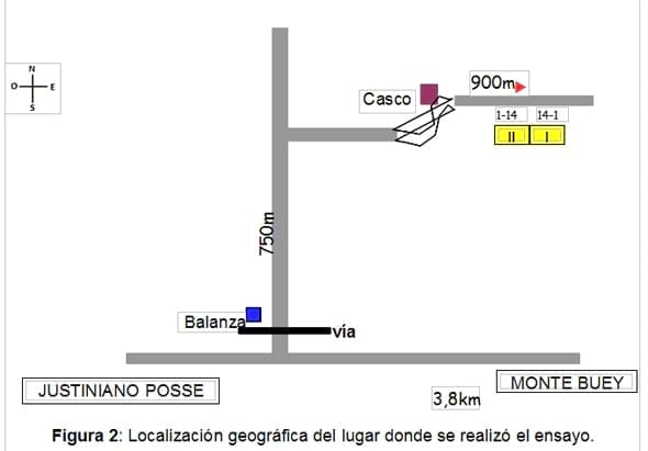 Comportamiento de variedades de trigo en cuanto a enfermedades, rendimiento y sus componentes - Image 4
