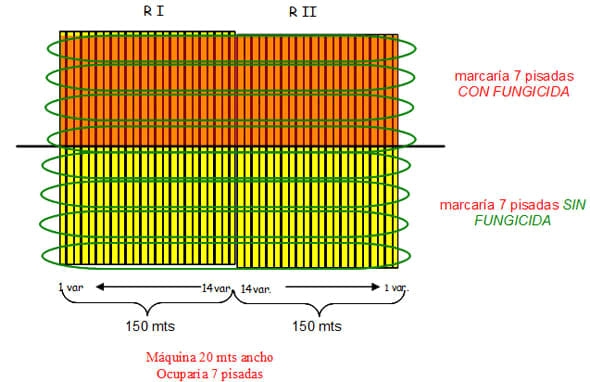 Comportamiento de variedades de trigo en cuanto a enfermedades, rendimiento y sus componentes - Image 7