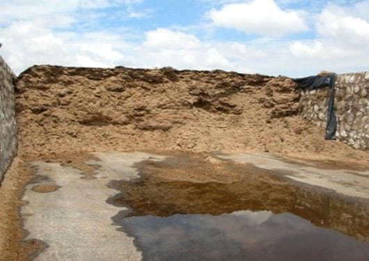 Consejos prácticos: ¿De qué hablan cuando dicen Materia Seca? - Image 4