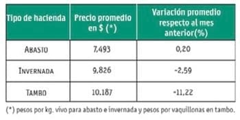 Crianza en guachera - Image 3