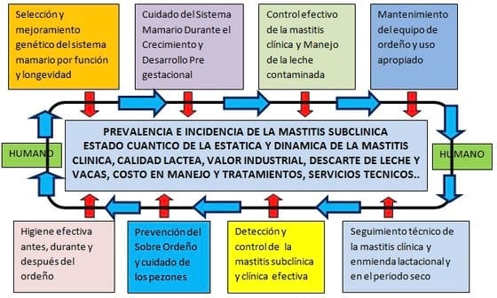 La mastitis subclínica y su influencia en la producción, calidad y economía lechera y medidas de manejo estratégico para su prevencion y control apropiado - Image 11