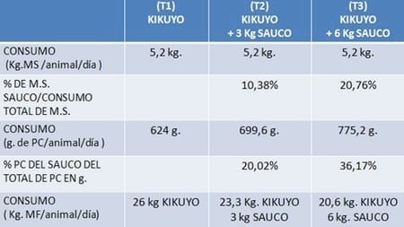 Evaluación del crecimiento de terneras Holstein con la suplementación de dos niveles de sauco (s. Nigra) en pastoreo con kikuyo (p. Clandestinum) - Image 4