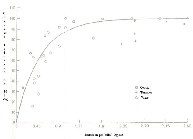 Estimación de la disponibilidad de pasto - Image 1