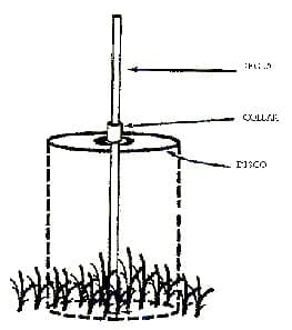 Estimación de la disponibilidad de pasto - Image 6