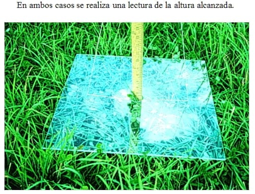 Estimación de la disponibilidad de pasto - Image 7