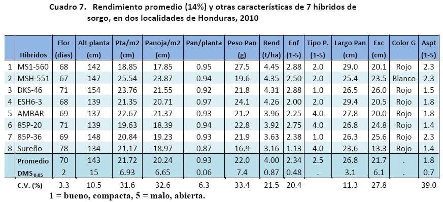 Comportamiento de los sorgos híbridos para grano dentro de los ensayos uniformes del PCCMCA 2010 - Image 7