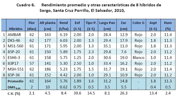 Comportamiento de los sorgos híbridos para grano dentro de los ensayos uniformes del PCCMCA 2010 - Image 6