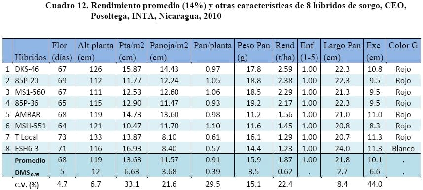 Comportamiento de los sorgos híbridos para grano dentro de los ensayos uniformes del PCCMCA 2010 - Image 17