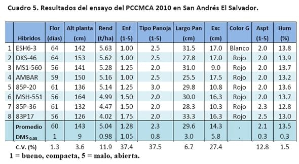 Comportamiento de los sorgos híbridos para grano dentro de los ensayos uniformes del PCCMCA 2010 - Image 5