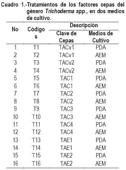 Cultivo In Vitro de Trichoderma spp. y su antagonismo frente a hongos fitopatógenos - Image 1