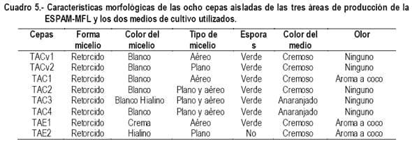 Cultivo In Vitro de Trichoderma spp. y su antagonismo frente a hongos fitopatógenos - Image 8