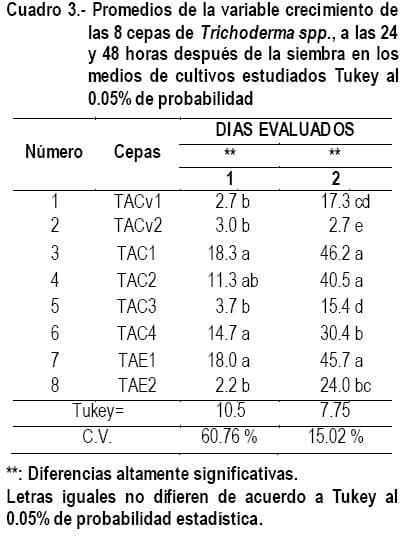 Cultivo In Vitro de Trichoderma spp. y su antagonismo frente a hongos fitopatógenos - Image 6